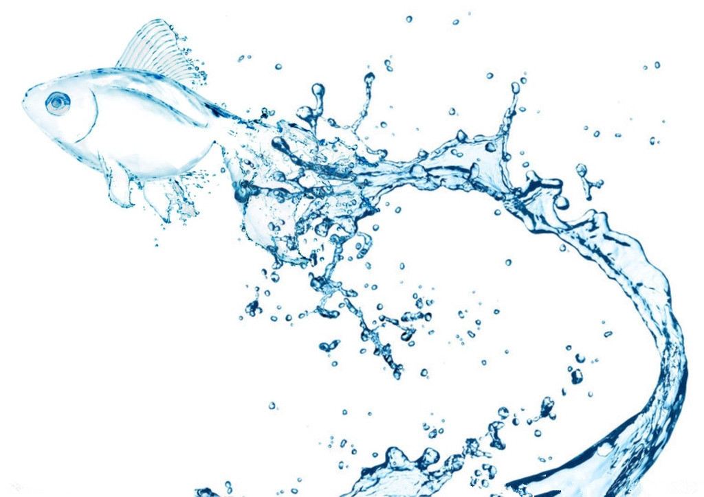 基材潤濕劑,迪高基材潤濕劑,涂料基材潤濕劑