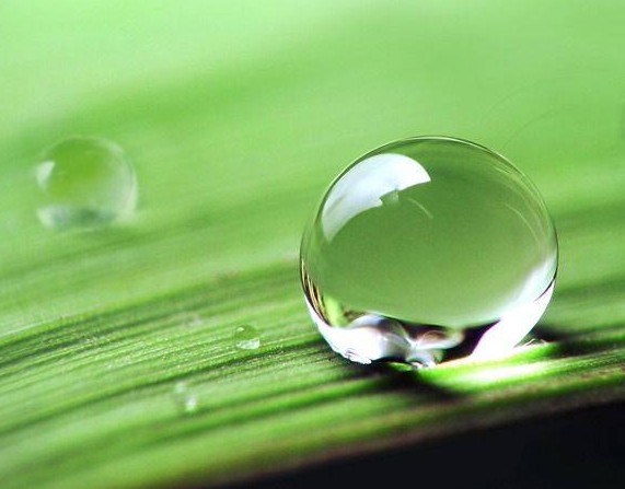 涂料潤濕劑<a href='http://www.helixhacks.com/product/product-0001,0011,0020.shtml' class='keys' title='點擊查看關于分散劑的相關信息' target='_blank'>分散劑</a>