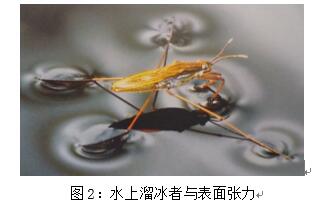 基材潤濕劑,水性潤濕劑,底材潤濕劑,溶劑型潤濕劑,迪高潤濕劑,潤濕劑批發,涂料潤濕劑,抑泡潤濕劑,潤濕劑