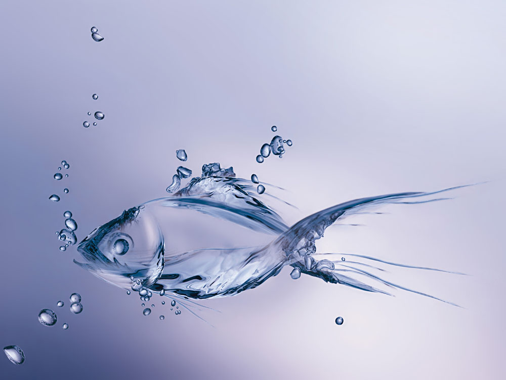 潤濕<a href='http://www.helixhacks.com/product/product-0001,0011,0020.shtml' class='keys' title='點擊查看關(guān)于分散劑的相關(guān)信息' target='_blank'>分散劑</a>