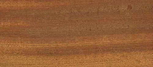 木器漆基材潤濕劑,木器漆潤濕劑,水性潤濕劑,底材潤濕劑,潤濕劑廠家,迪高潤濕劑,<a href='http://www.helixhacks.com/product/product-0001,0011,0018.shtml' class='keys' title='點擊查看關于潤濕劑的相關信息' target='_blank'>潤濕劑</a>批發